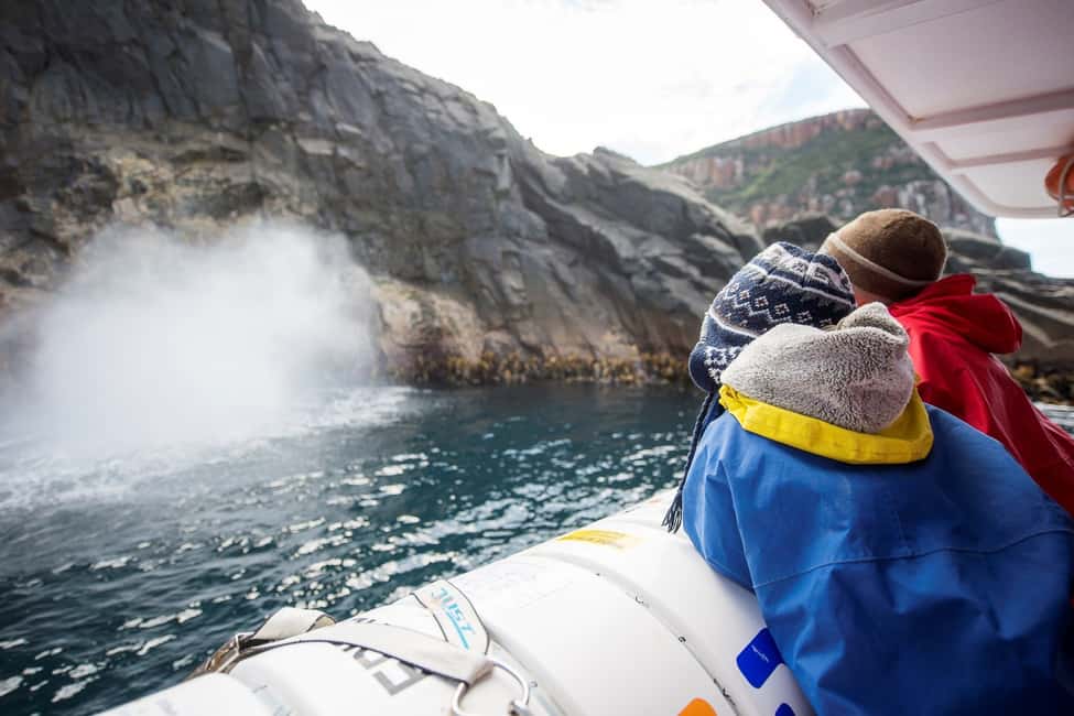 image n.3 of Hobart: Bruny Island Wilderness Coast Eco Cruise with Lunch activity in Adventure Bay, uploaded by supplier