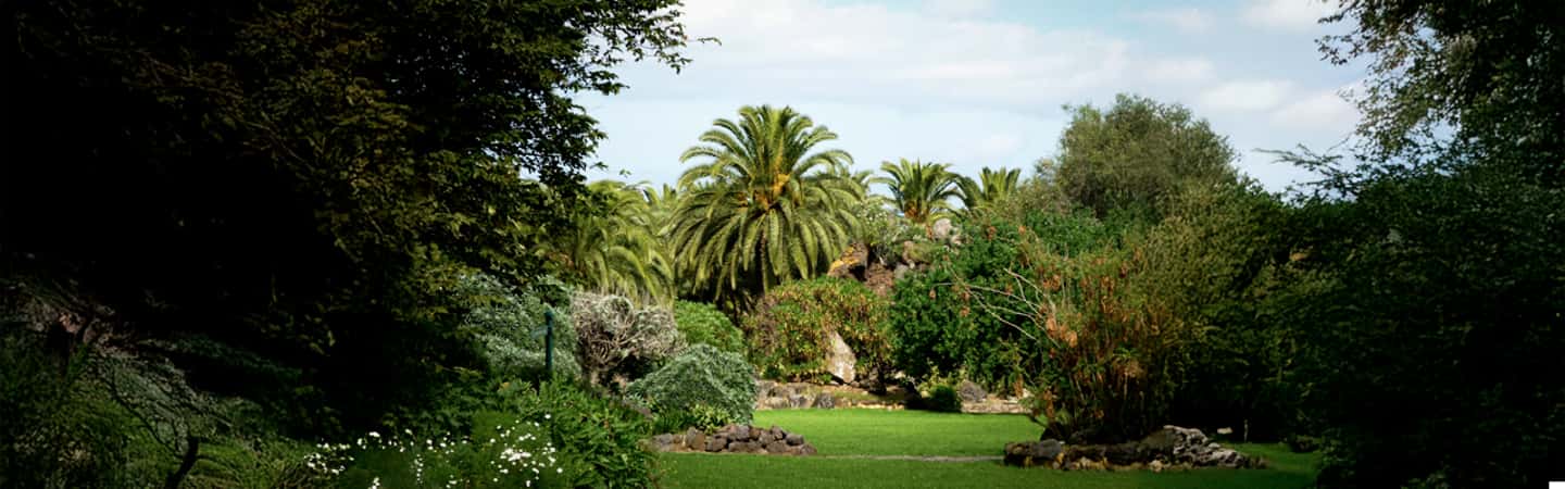 image n.3 of Excursion to Las Palmas: History and Culture activity in Las Palmas, uploaded by supplier