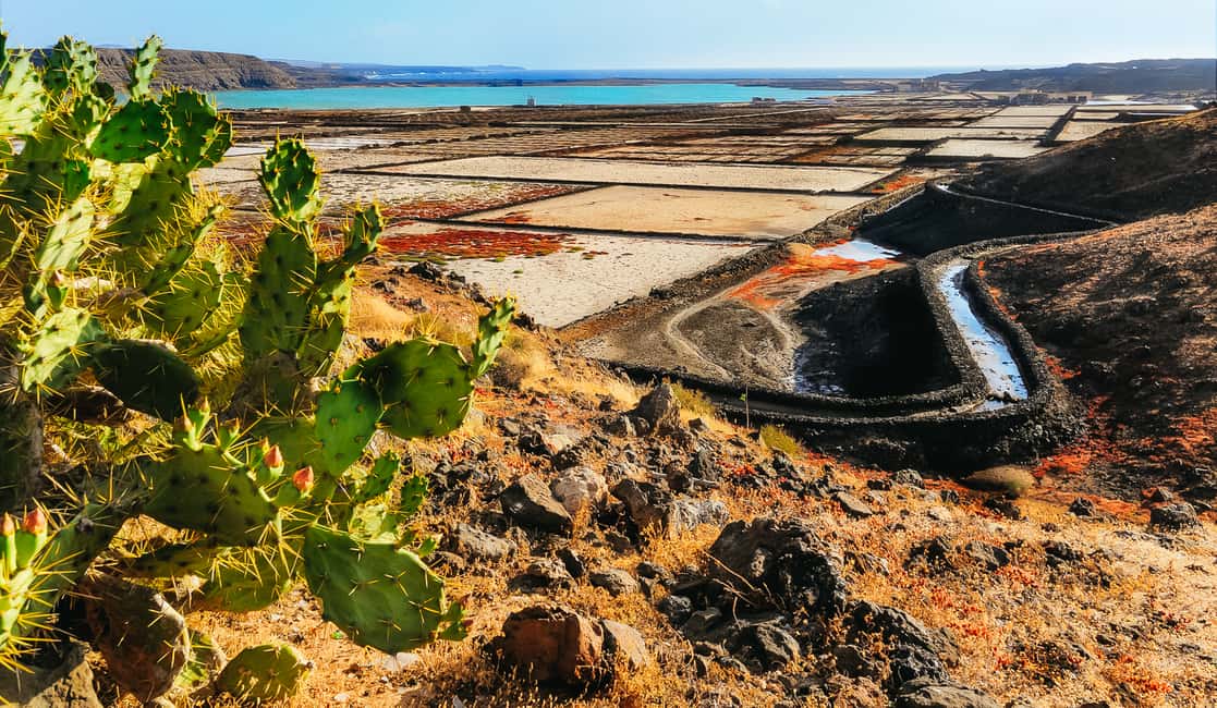 Bild Nr. 3 von Lanzarote: Vulkane von Timanfaya und Höhlen Tour mit Mittagessen Aktivität in Haría, hochgeladen vom Anbieter