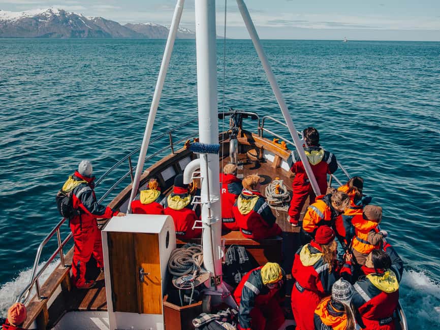 imagen n.º 8 de Húsavík: Excursión familiar y guiada de avistamiento de ballenas actividad en Norðurland Eystra, subida por el proveedor