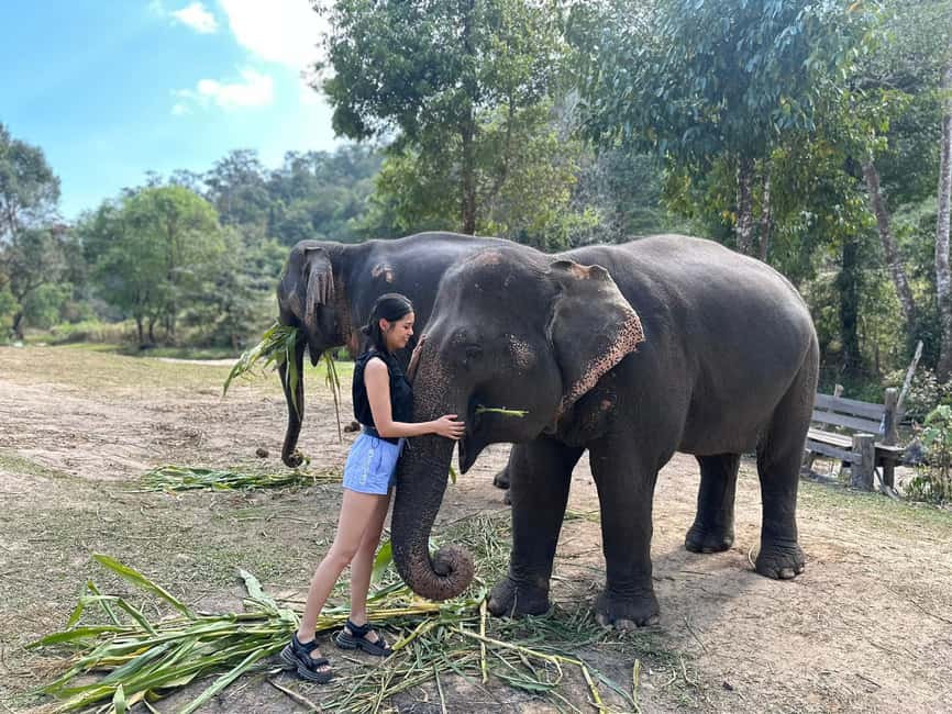 image n.11 of Chiang Mai: Elephant Sanctuary & Waterfall Group Tour activity in Chiang Mai, uploaded by supplier