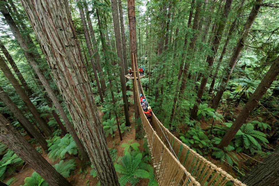 Bild Nr. 15 von Von Auckland aus: Rotorua Māori Dorf & Aktivitätskombinationen Aktivität in Rotorua, hochgeladen vom Anbieter