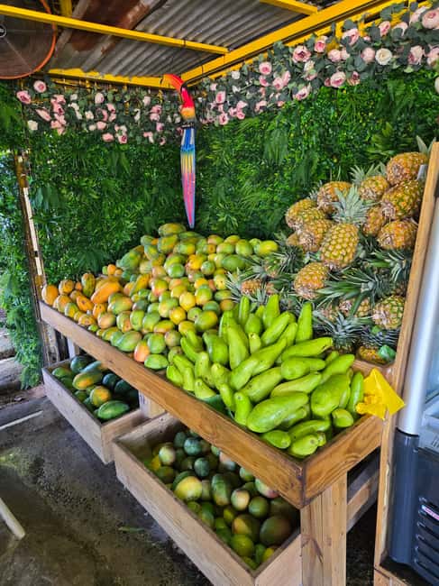 Obraz nr 13 z atrakcji Z San Juan: Wycieczka do lasu deszczowego El Yunque i kiosków Luquillo w Río Grande, Portoryko, przesłany przez organizatora