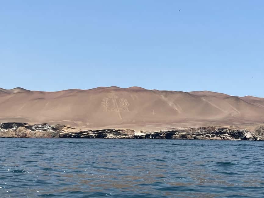 afbeelding n.7 van Vanuit Ica of Huacachina: Ballestas-eilanden en Nationaal Reservaat Paracas. activiteit in Ica Regio, geüpload door aanbieder