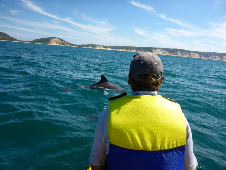 Image N°21 de Excursion en kayak à la rencontre des dauphins et visite du parc national en 4X4 sur la plage (privée) activité à Région de Gympie, publiée par le prestataire