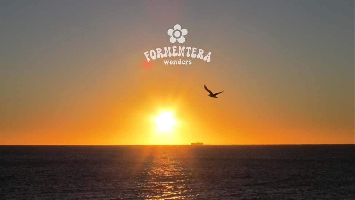 Bild Nr. 39 von Ibiza: Formentera-Kreuzfahrt mit Mahlzeiten, offener Bar, Sonnenuntergang und DJ Aktivität in Balearen, hochgeladen vom Anbieter