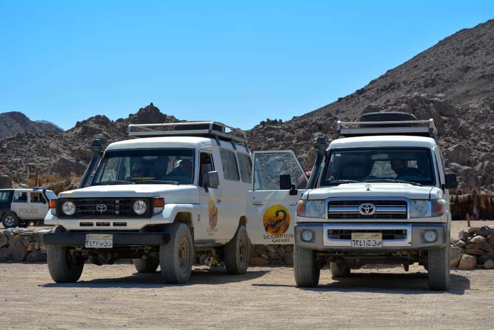 image n.16 of Hurghada: Quad Bike, Buggy, and Camel Ride & Bedouin Village activity in Hurghada, uploaded by supplier