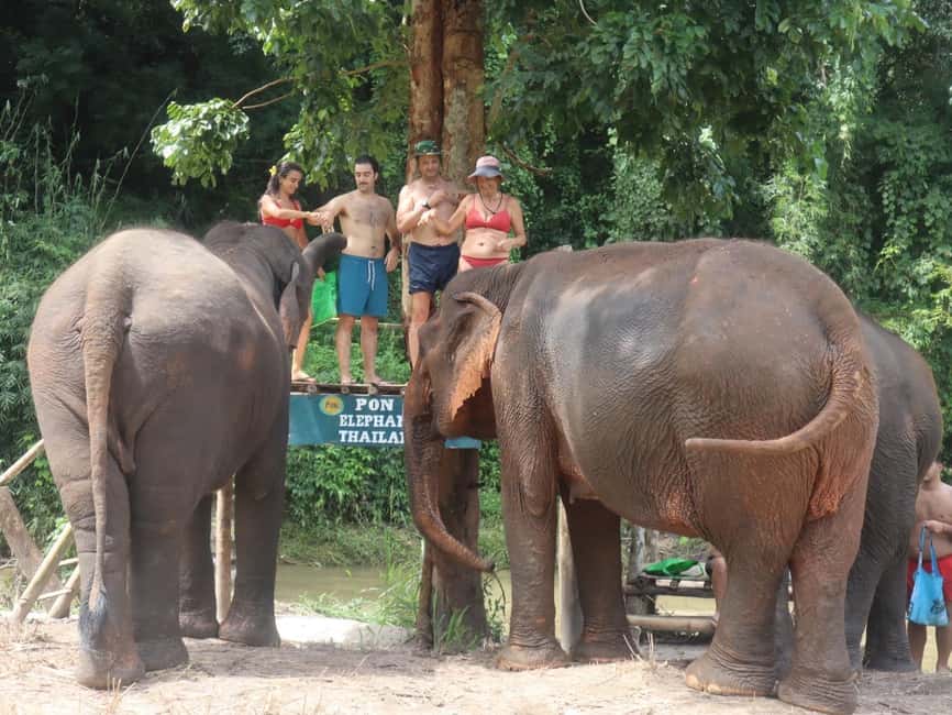 image n.40 of Chiang Mai: Elephant Sanctuary, Waterfall & Bamboo Rafting activity in Chiang Mai, uploaded by supplier