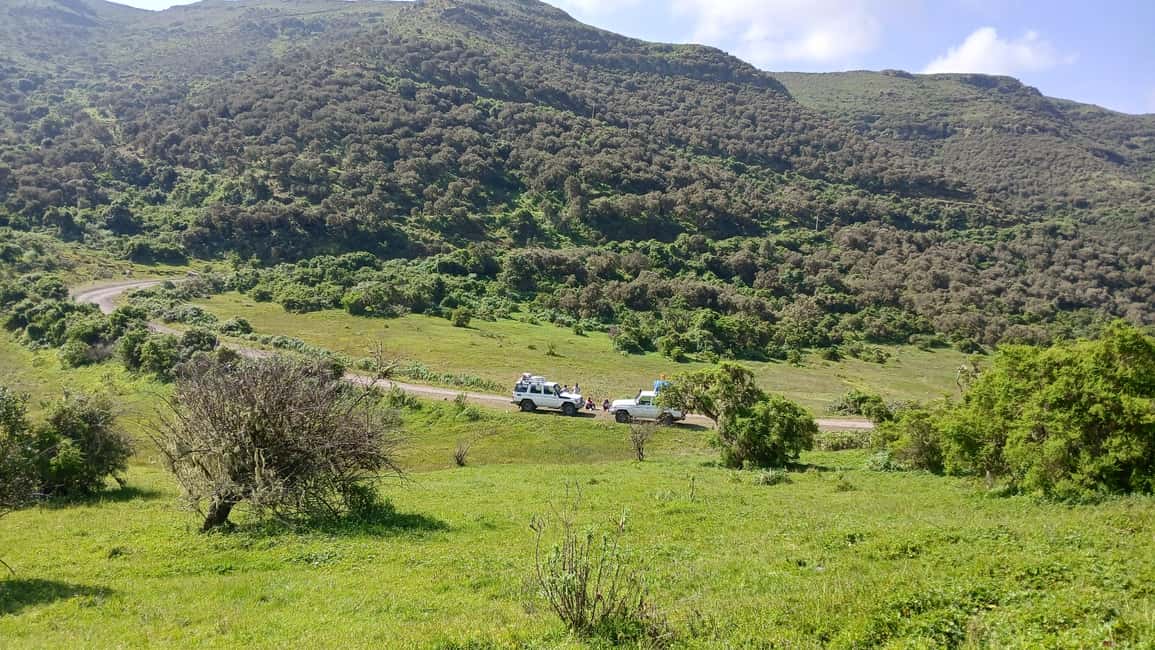 image n.27 of From Gondar: 2-Day Simien Mountains Trekking Tour activity in Gondar, uploaded by supplier