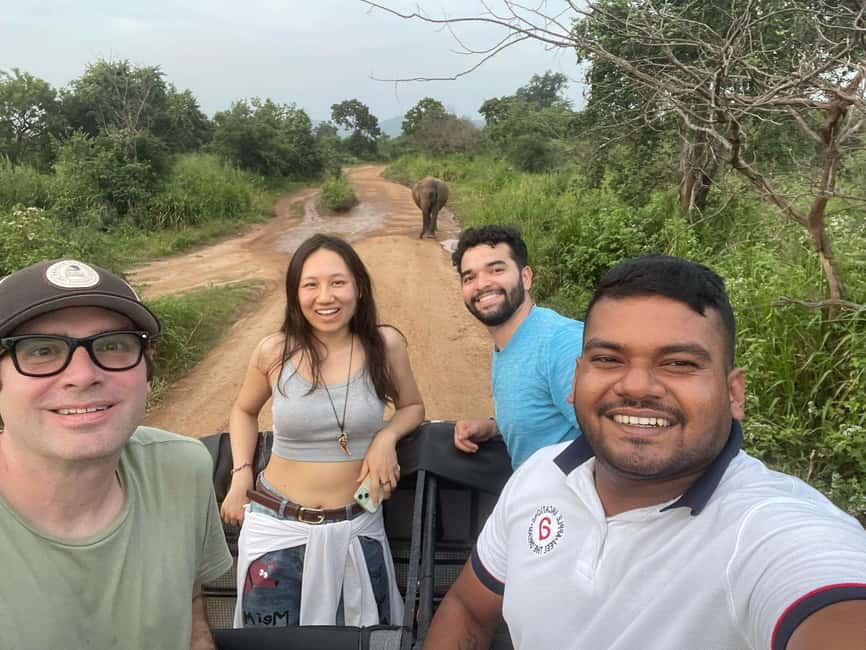 image n.41 of From Colombo: Sigiriya and Dambulla Day Trip and Safari activity in Sigiriya, uploaded by supplier