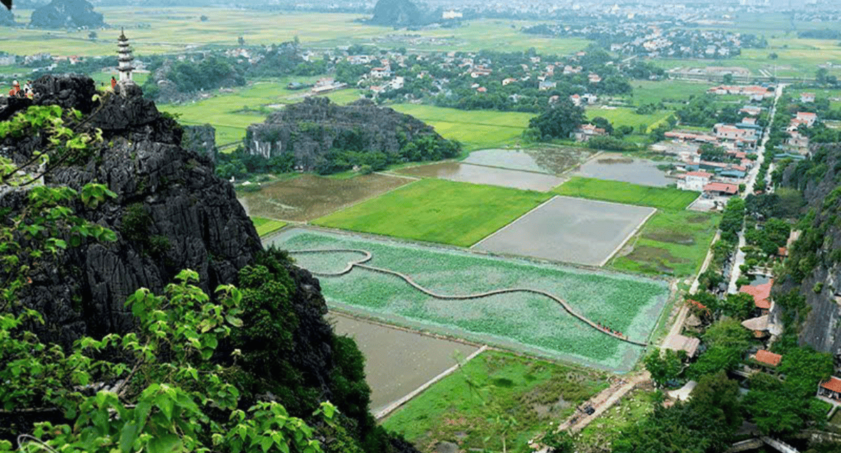 image n.27 of Hanoi/Ninh Binh: 1-Day Tam Coc/Trang An, Hoa Lu & Mua Caves activity in Central Vietnam, uploaded by supplier