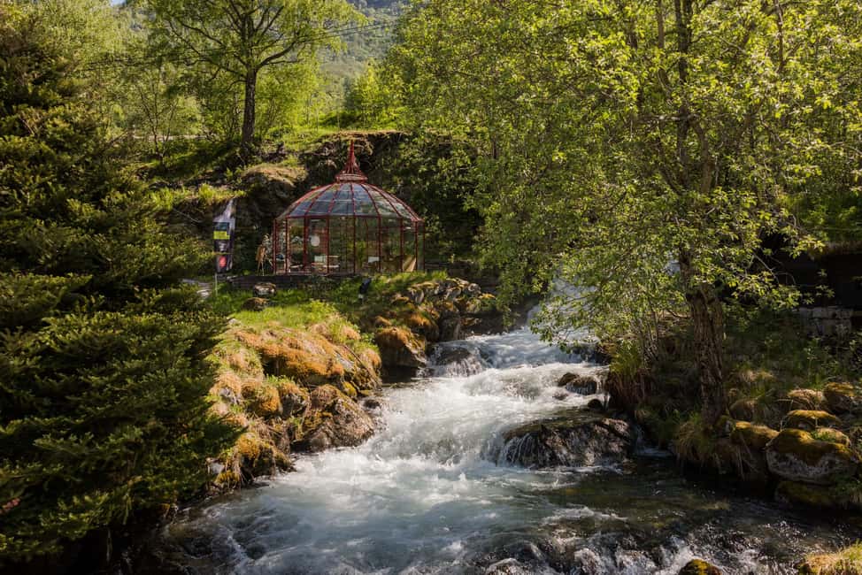 bild nr.15 av Geiranger: Upplevelse av ziplinepark aktivitet i Geiranger, uppladdad av arrangören