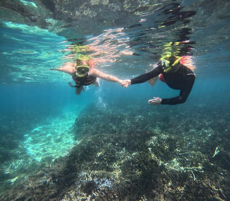 image n.7 of Trincomalee: Whale & Dolphin Tour + Navy Island Snorkeling activity in Trincomalee, uploaded by supplier