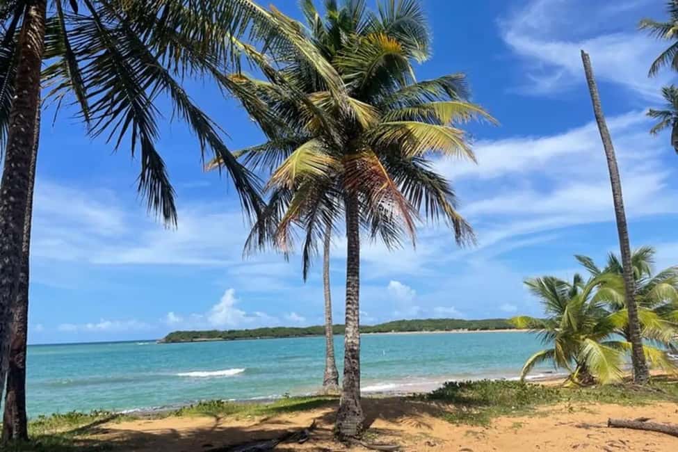billede nr.16 af aktiviteten El Yunque & Piñones Tour; vandre, spise og slappe af som en lokal i Río Grande, Puerto Rico, uploadet af udbyder