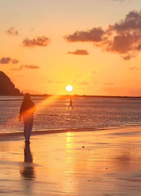 image n.12 of Sunrise with the Kangaroos & Wallabies - Airlie Beach activity in Mackay, uploaded by supplier
