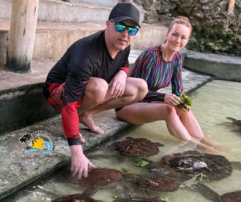 image n.5 of Nungwi: Swimming with Turtles at The Lagoons Zanzibar activity in Zanzibar City, uploaded by supplier