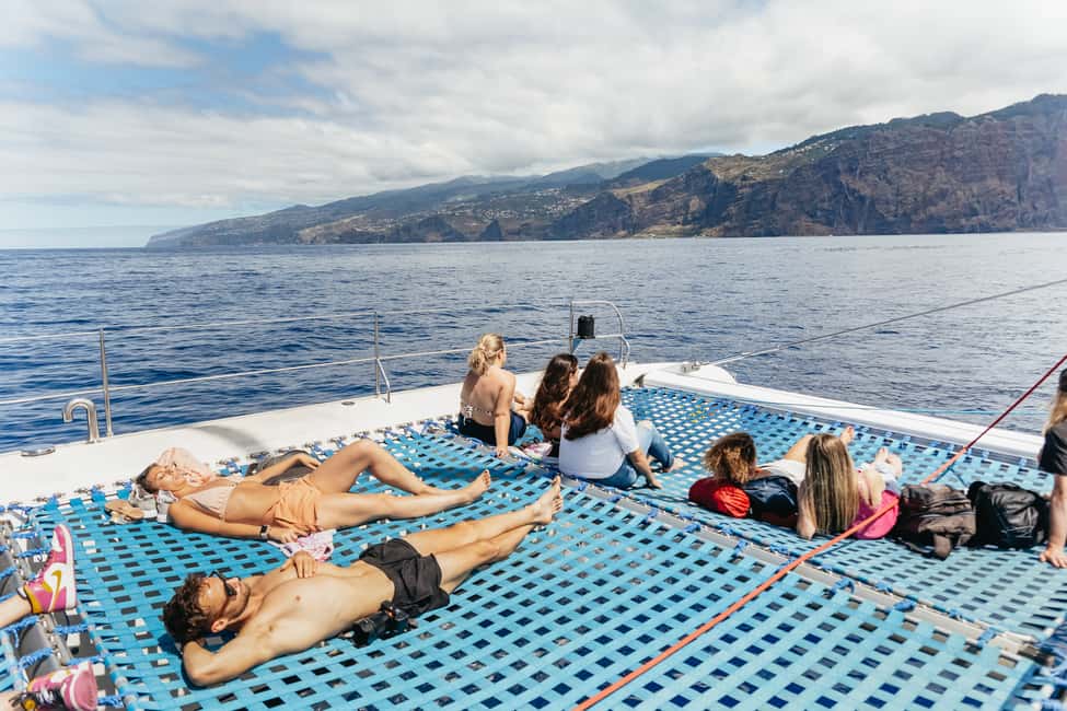 imagem n.12 de Funchal: Cruzeiro de observação de baleias e golfinhos em catamarã atividade em Câmara de Lobos, carregada pelo fornecedor
