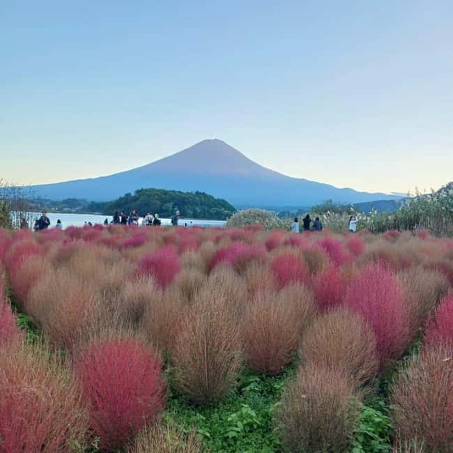 obrázek č.16 aktivity Tokio: Mt Fuji Soukromá jednodenní prohlídka s anglickým řidičem Nízká cena v destinaci Fujiyoshida, nahraný poskytovatelem aktivity