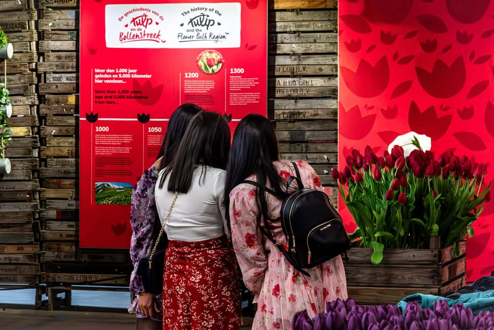 Obraz nr 21 z atrakcji Z Amsterdamu: Keukenhof Gardens & Tulip Experience Tour w Noordwijkerhout, przesłany przez organizatora