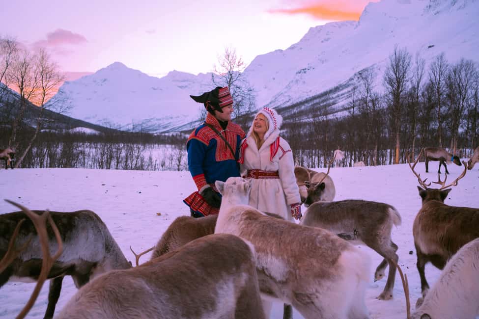 image n.6 of Tromsø: Reindeer Experience at a Sami Camp activity in Tromsø, uploaded by supplier
