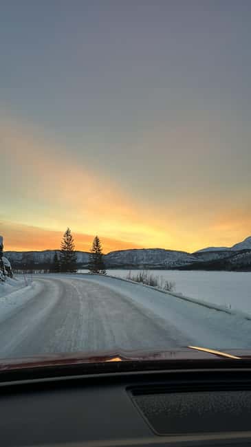 image n.5 of Narvik/Harstad:Day tour of Fjords with stop at Reindeer farm activity in Narvik, uploaded by supplier