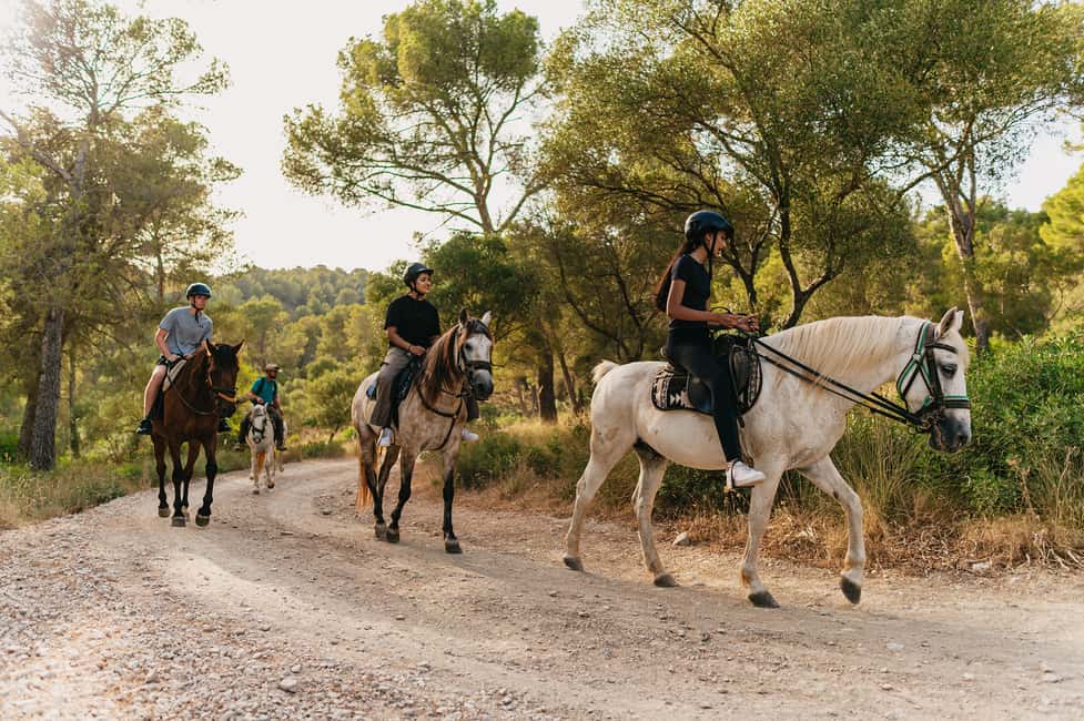 image n.14 of Mallorca: Horseback Riding Experience with Food Options activity in Balearic Islands, uploaded by supplier
