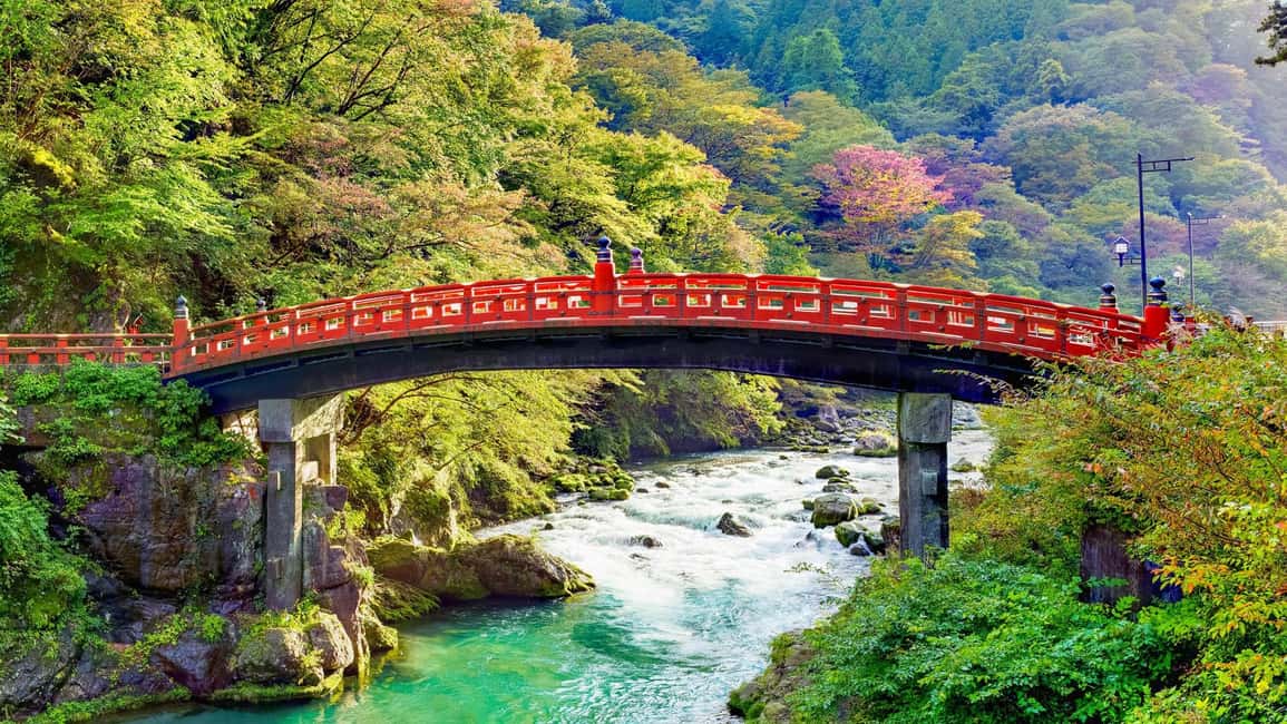 Immagine nº 9 di Tokyo: Gita di un giorno a Nikko con il Santuario di Toshogu e le Cascate di Kegon attività a Nikkō, caricata dal fornitore
