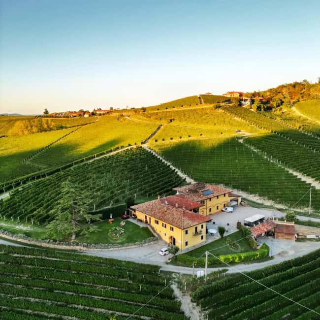 billede nr.4 af aktiviteten Monforte d'Alba: Vin- og chokolade-smagning i Monforte d'Alba, uploadet af udbyder