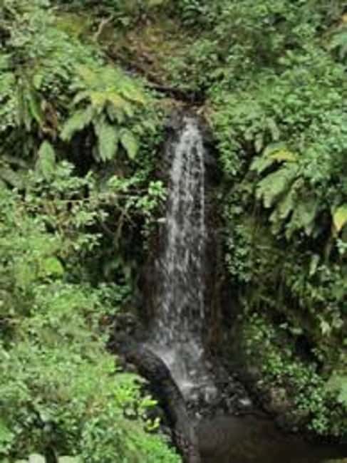 image n.5 of Best Kilimanjaro Day Hike With Car Shira Plateau experience activity in Arusha (Region), uploaded by supplier