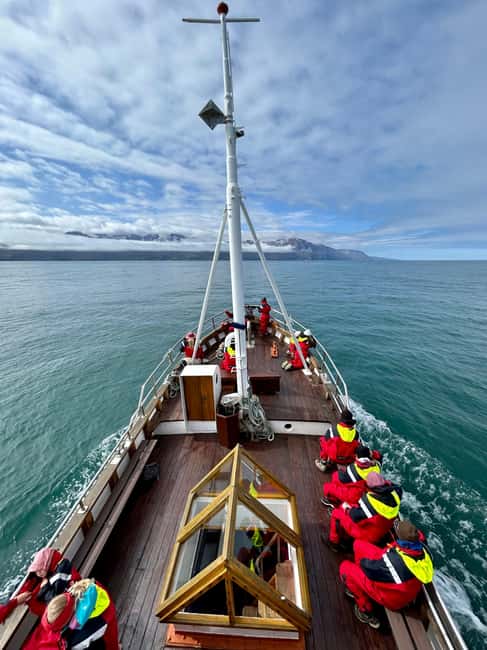 imagen n.º 9 de Húsavík: Excursión familiar y guiada de avistamiento de ballenas actividad en Norðurland Eystra, subida por el proveedor
