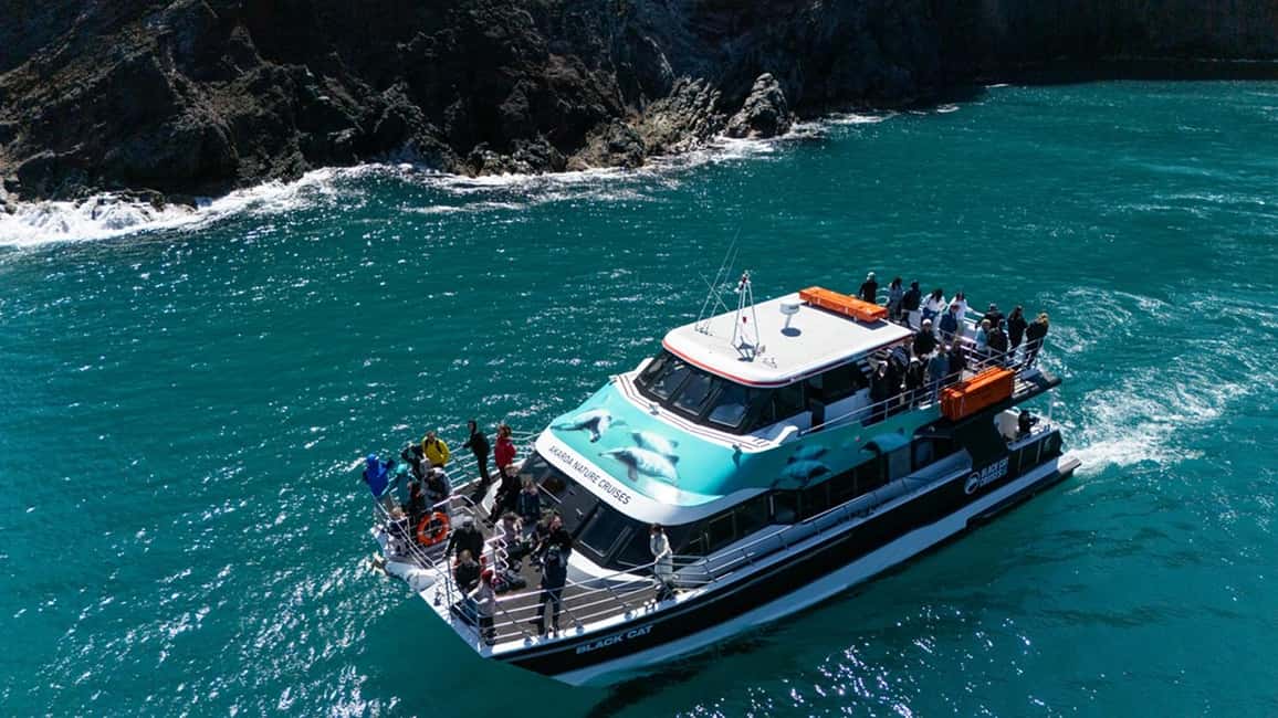 image n.7 of Akaroa Harbour 2-Hour Dolphin Nature Cruise activity in South Island, uploaded by supplier