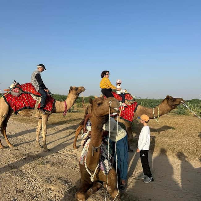 image n.36 of Desert Rose Jaisalmer: Luxury Tent In Thar Desert activity in Jaisalmer, uploaded by supplier