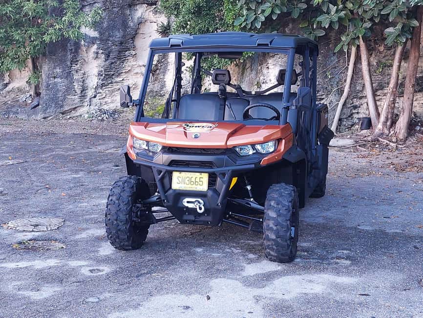 Image N°13 de Nassau : Location de Beach Buggy 6 places activité à Nassau, Bahamas, publiée par le prestataire