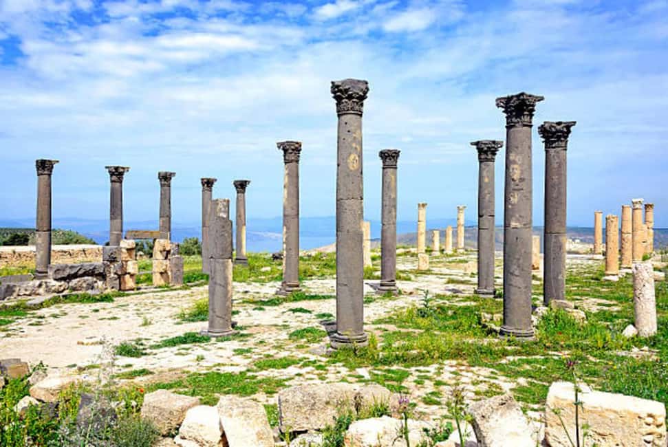 afbeelding n.17 van Vanuit Amman: Jerash, Ajloun kasteel of Umm Qais privétour activiteit in Ajlun, geüpload door aanbieder