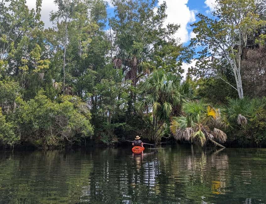 image n.18 of Crystal River: Kayak Rental activity in Crystal River, uploaded by supplier