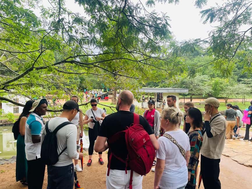 image n.21 of From Colombo: Sigiriya and Dambulla Day Trip and Safari activity in Sigiriya, uploaded by supplier