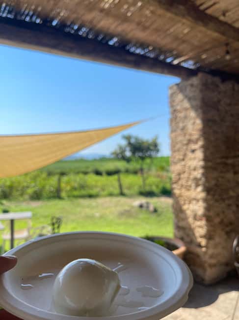 Immagine nº 10 di Paestum: tour di orientamento della città attività a Paestum, caricata dal fornitore