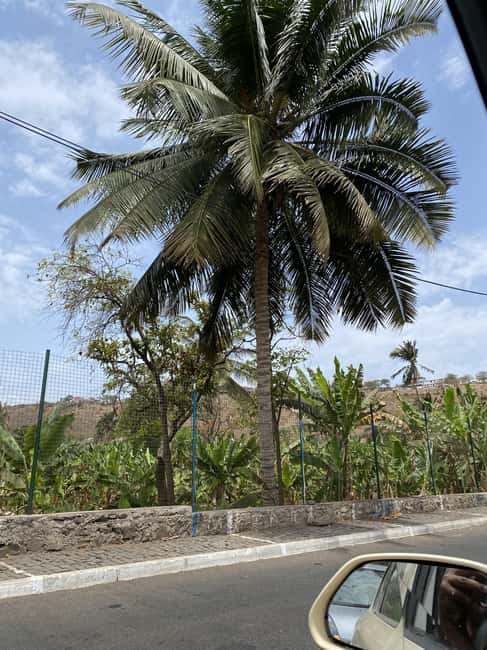 imagem n.22 de Tour particular de Santiago – Descubra a ilha atividade em Assomada, carregada pelo fornecedor