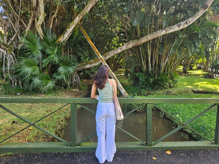 bild nr.12 av Port Louis: Mont Choisy, botaniska trädgården och kyrkturné aktivitet i Pamplemousses, uppladdad av arrangören