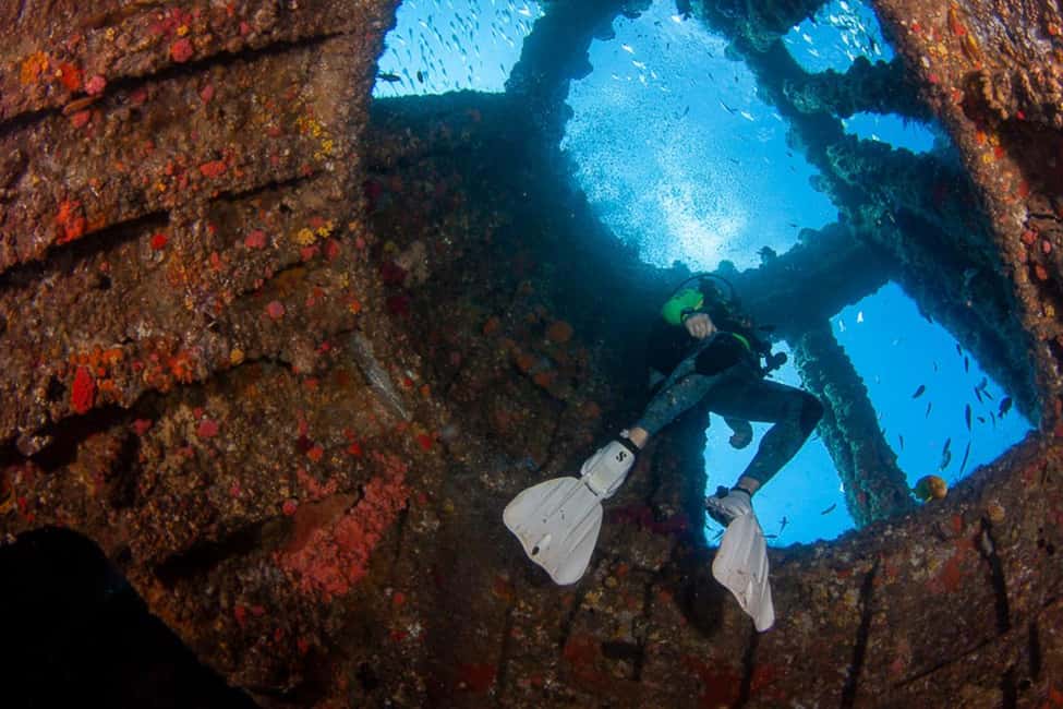 image n.16 of Sunshine Coast: Scuba Dive the Ex-HMAS Brisbane Ship Wreck activity in Sunshine Coast, uploaded by supplier