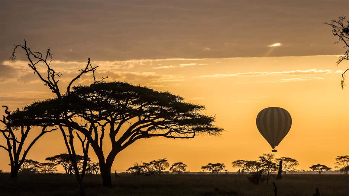 Image N°10 de Parc national du Serengeti : Safari en montgolfière à l'aube activité à Région de Mara, publiée par le prestataire