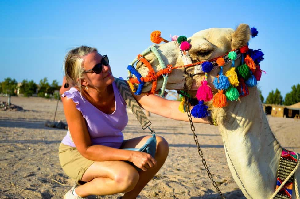 Immagine nº 17 di Hurghada: Avventura nel deserto con osservazione delle stelle in jeep e cena attività a Hurghada, caricata dal fornitore
