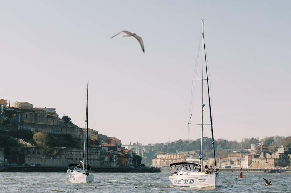 imagem n.81 de Porto: Cruzeiro de charme em veleiro com vinho do Porto, opção de pôr do sol atividade em São Pedro da Afurada, carregada pelo fornecedor