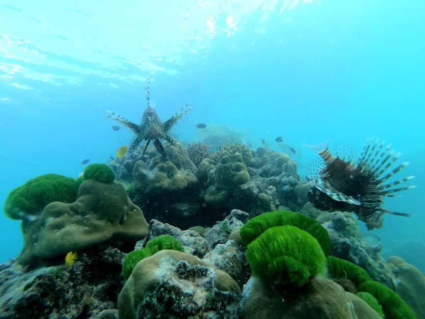 image n.3 of Praslin: Coco Felicite & La Digue Island Full-Day Boat Trip activity in Mahé, uploaded by supplier
