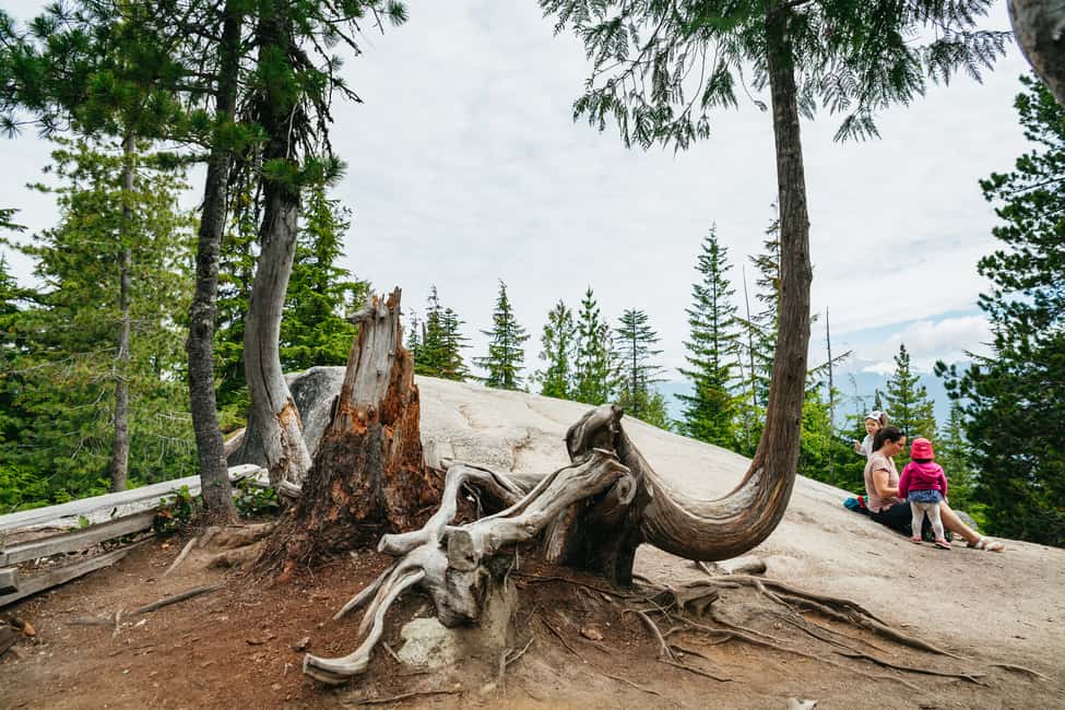 image n.11 of Whistler, Sea to Sky Gondola, and Shannon Falls Day Trip activity in Squamish, uploaded by supplier