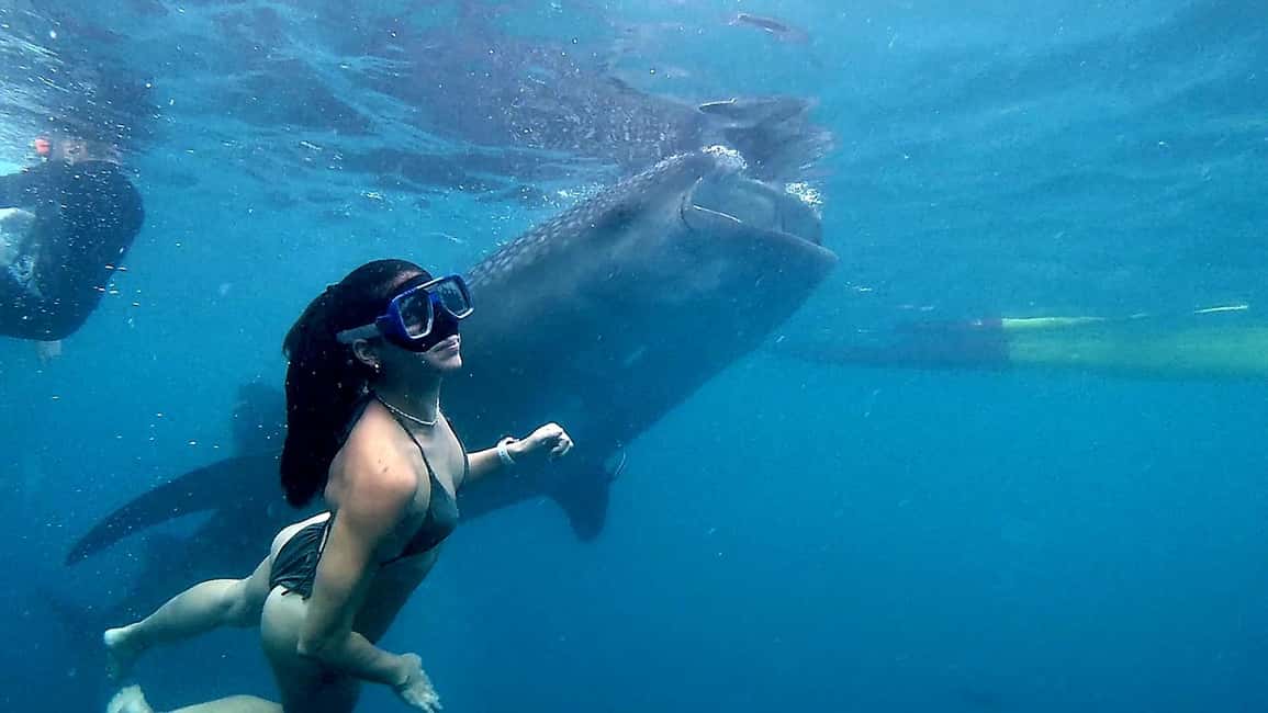 imagem n.13 de Cebu: Natação com tubarões-baleia e excursão de canoagem em Kawasan atividade em Badian, carregada pelo fornecedor