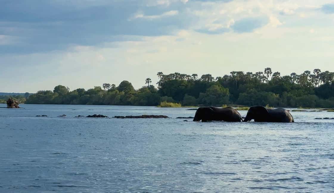 image n.6 of Victoria Falls: Sunset Cruise on the Zambezi River activity in Victoria Falls Town, uploaded by supplier