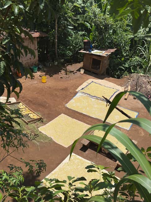 image n.39 of Arusha: Day Trip City,Materuni Waterfall,Coffee & Hot Spring activity in Moshi, uploaded by supplier