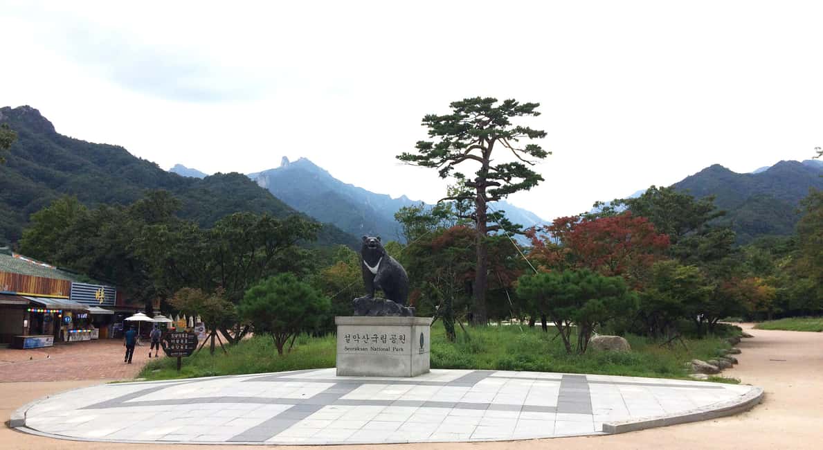 imagen n.º 6 de Seúl: Mt.Seorak, Isla Nami, No Shopping(+Opción TrenBici) actividad en Provincia de Gangwon, subida por el proveedor