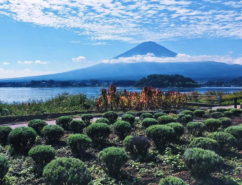 image n.40 of Tokyo: Mt. Fuji, LakeKawaguchiko, Pagoda, & Oishi Park Tour activity in Fujinomiya, uploaded by supplier